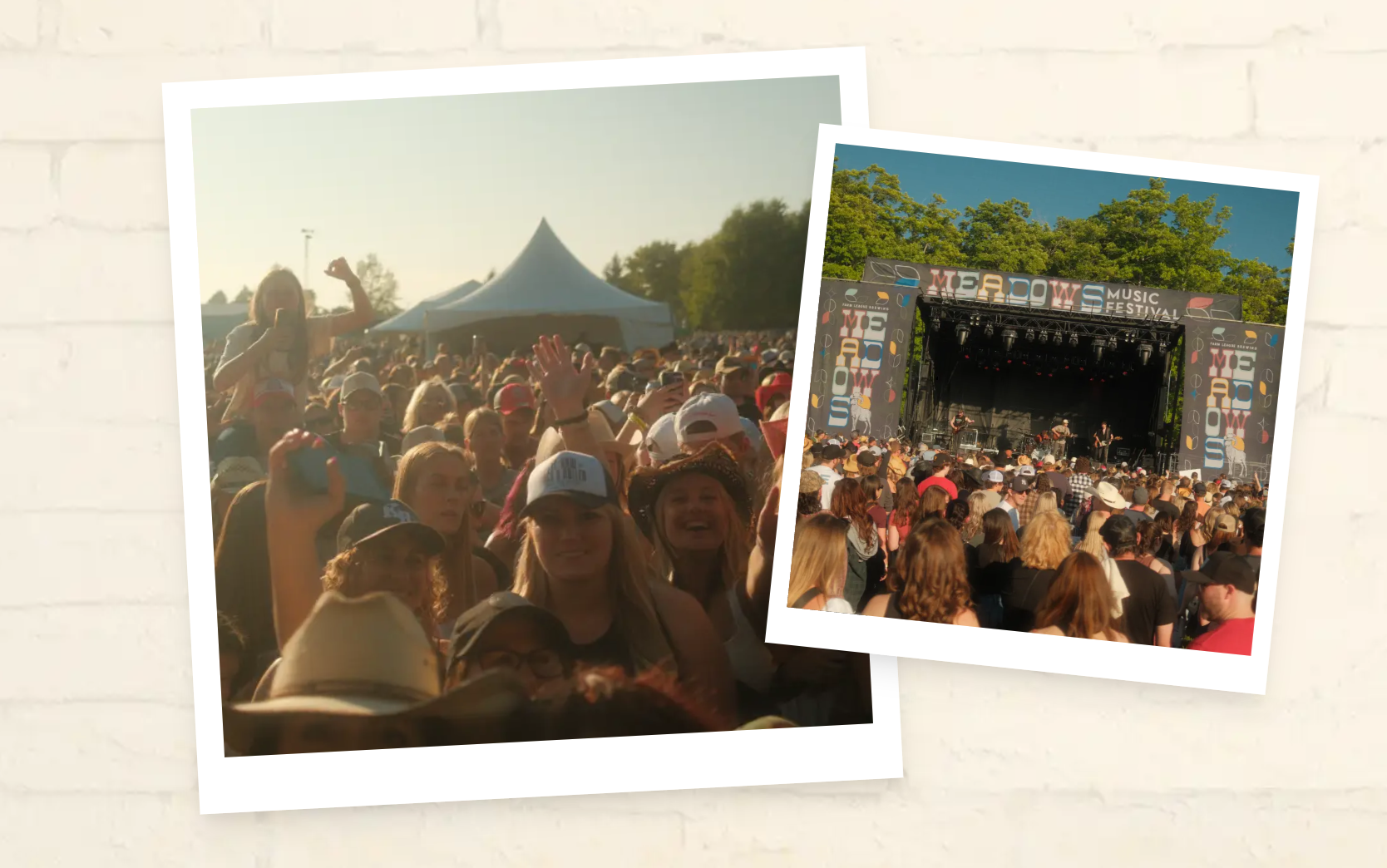 Meadows Music Festival releases updated lineup