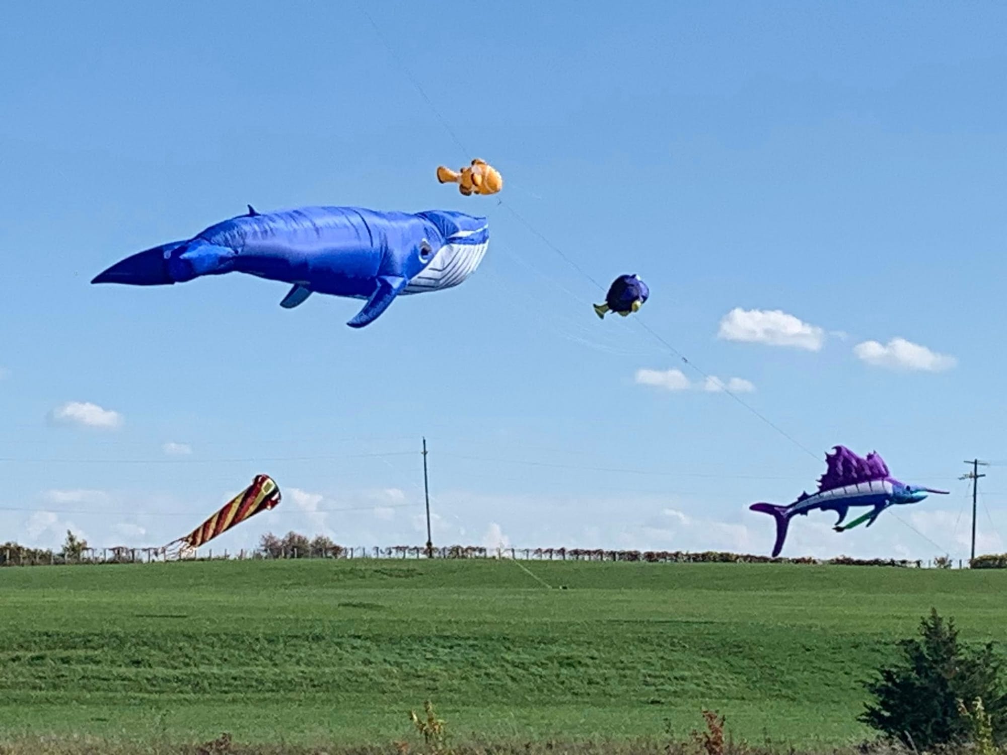 Giant kites coming to Clifford for new community event