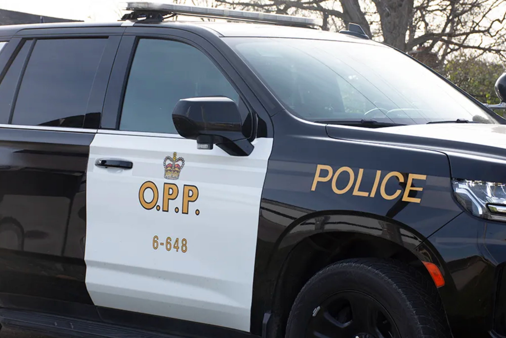 Brantford man charged with kidnapping, assault
