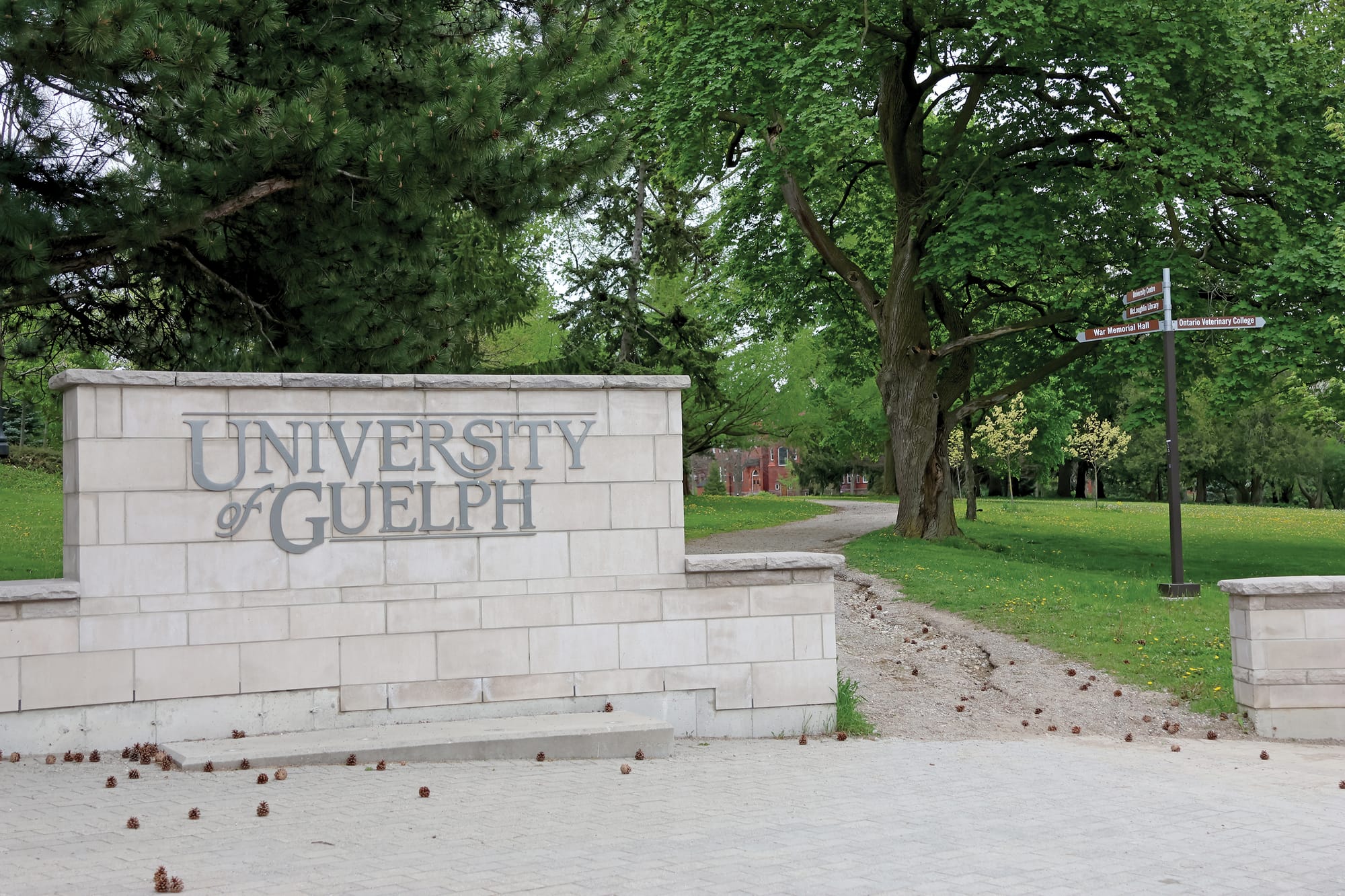Veterinary, agriculture, science programs at University of Guelph ranked among best in world