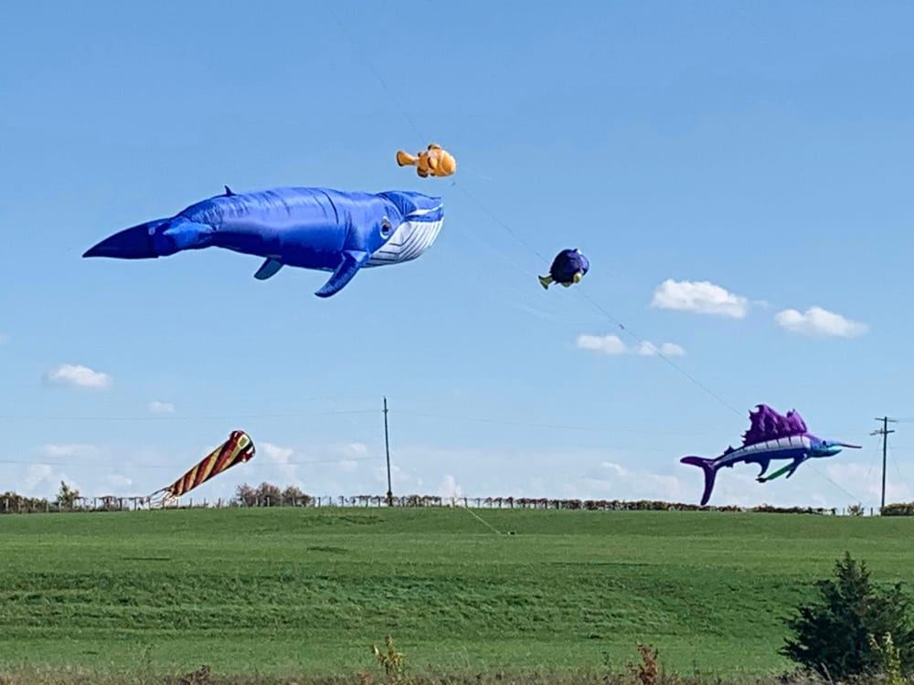 Giant kites coming to Clifford for new community event post image
