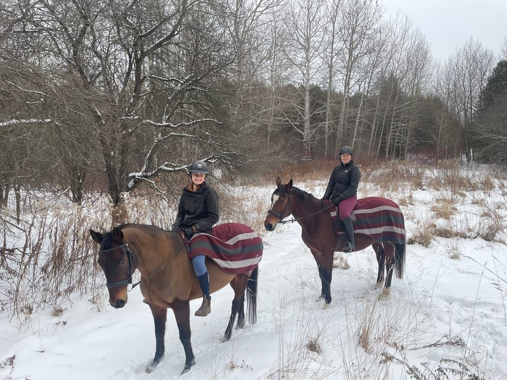 Keeping horses safe during a Canadian winter post image