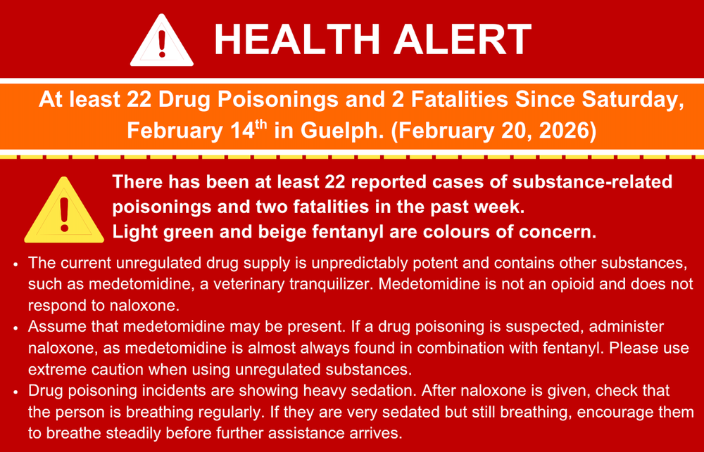Drug strategy issues alert after 22 poisonings, two deaths in a week post image