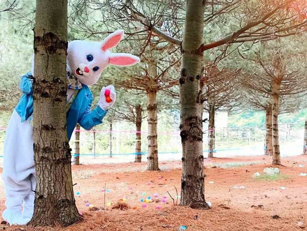 Spring Egg-Stravaganza 2026 returns at Erin Hill Acres post image