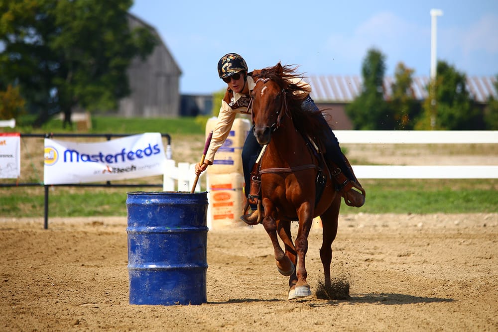 Teen raising awareness about rare Bashkir curly horse breed post image