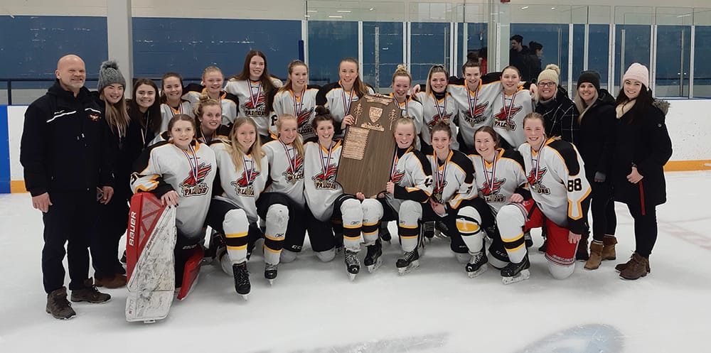 CWDHS girls hockey team  off to OFSAA competition after victory at CWOSSA post image