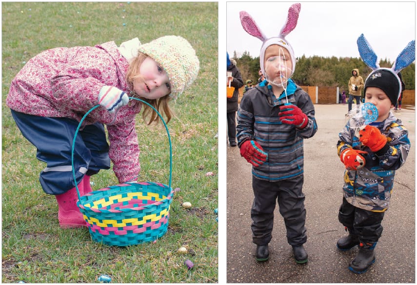 Bunny time post image