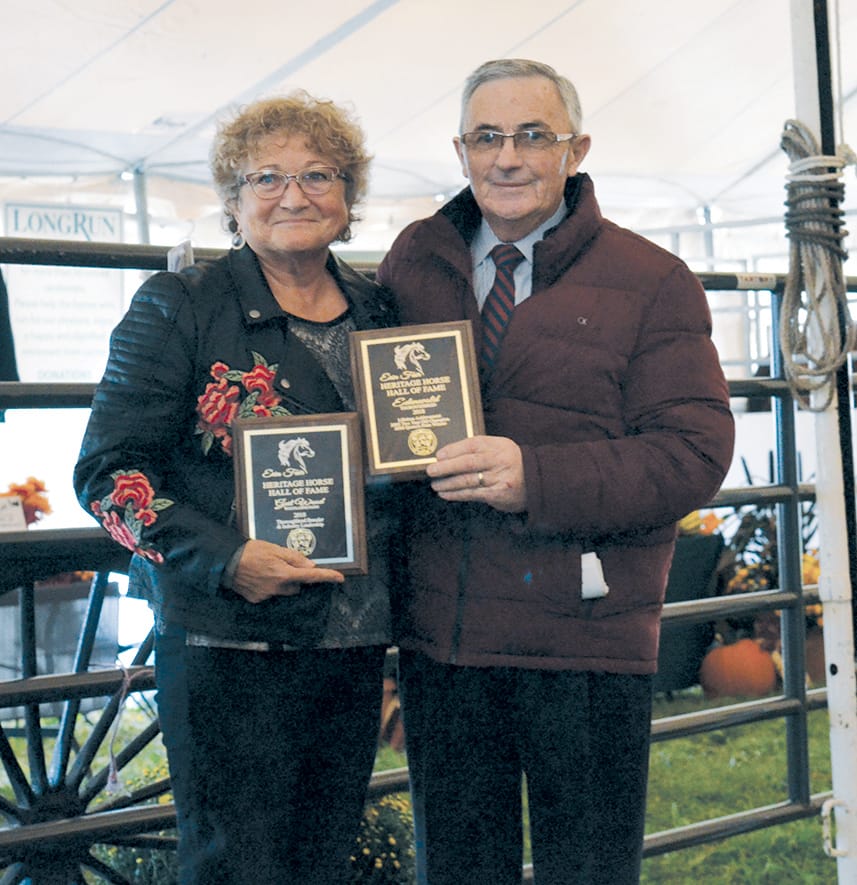 Horse breeder is happy in her work post image