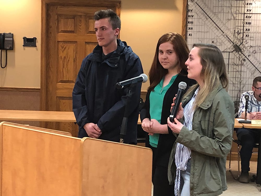 Minto Youth Action Council back in action post image