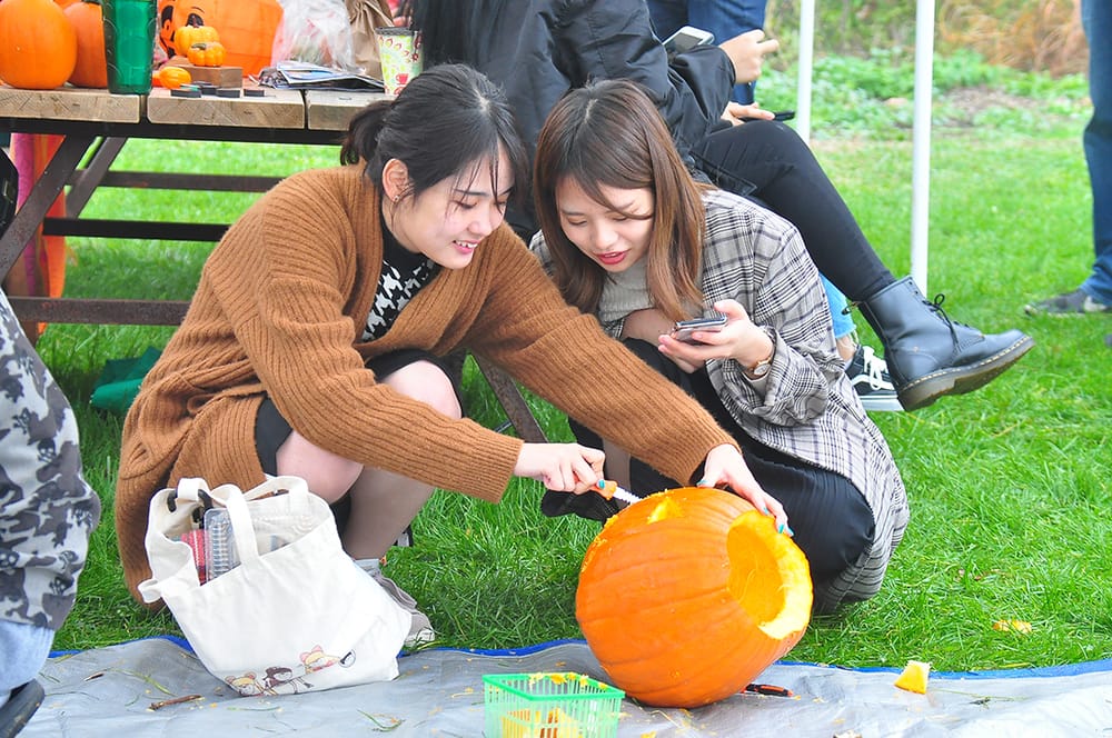 Sensational Elora raises $120,000 in last 10 years post image