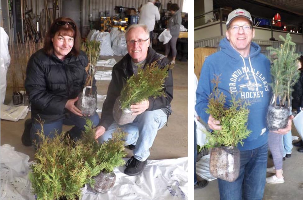 Tree time post image