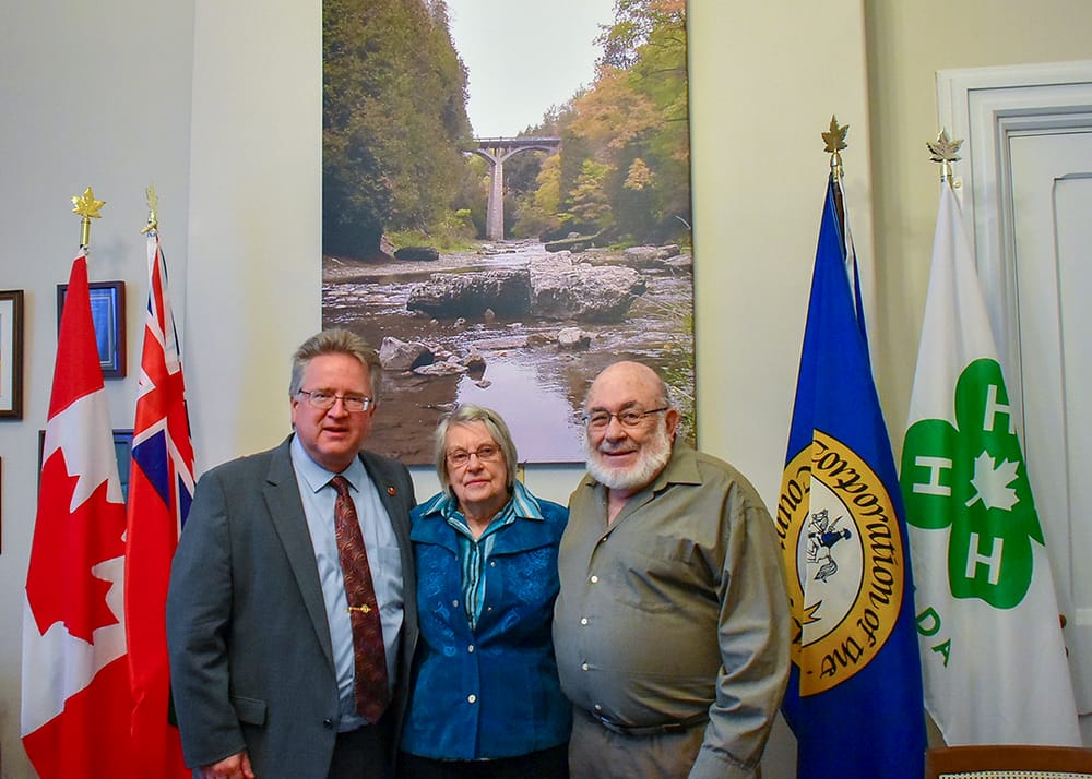 Ottawa walls post image