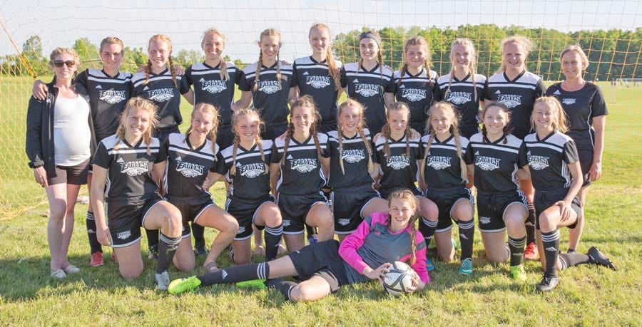 Emmanuel Christian High School's girls soccer team OFSAA quarter finalists post image