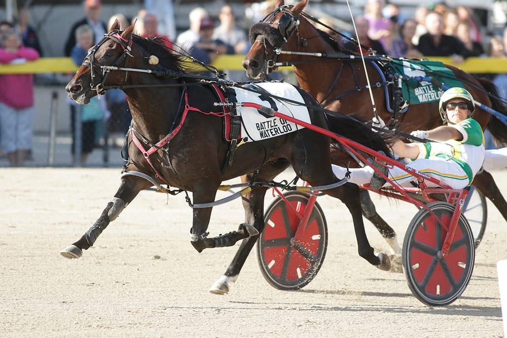 New penalty guidelines for urging come into effect Aug. 1 post image