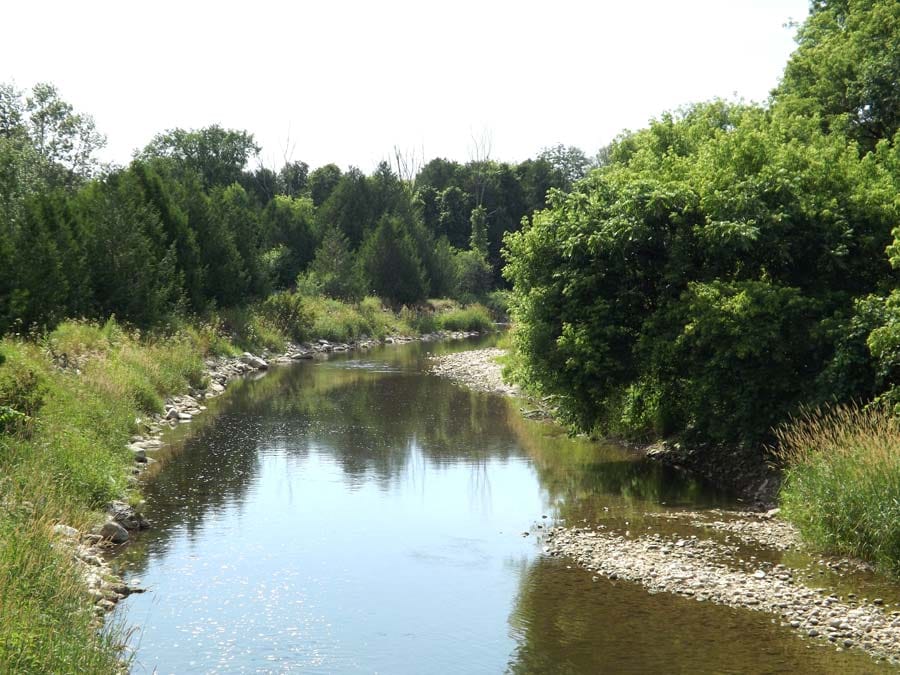 Scenic  summer images from Minto post image