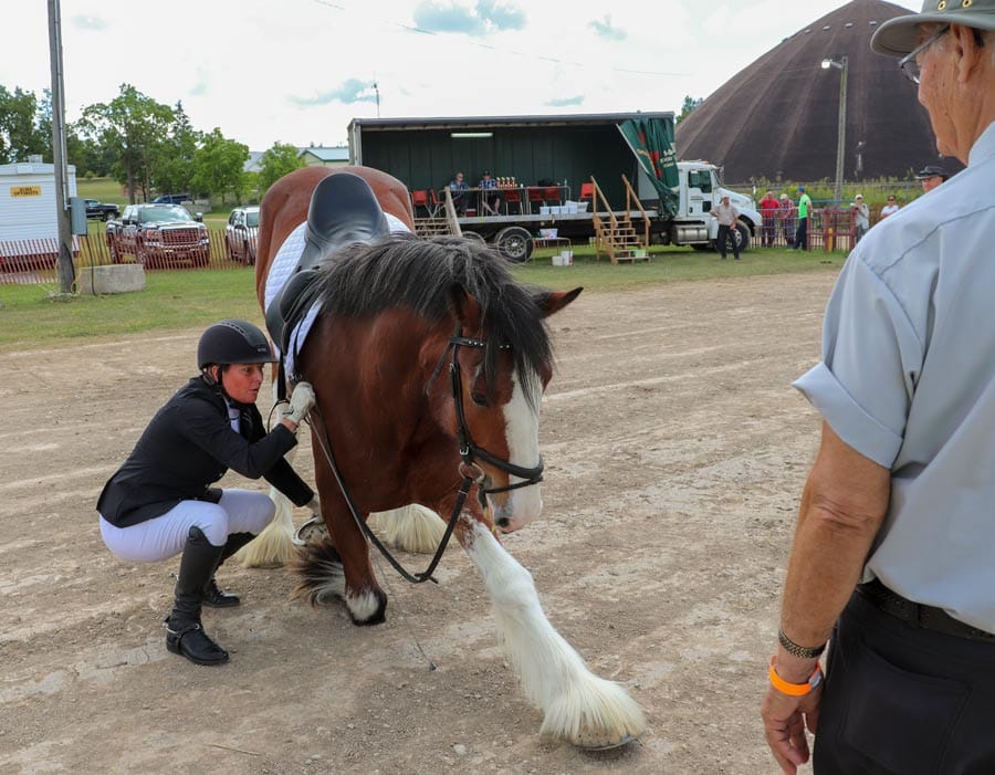 Area residents catch 'Farm Fever' at 163rd Drayton Fair post image