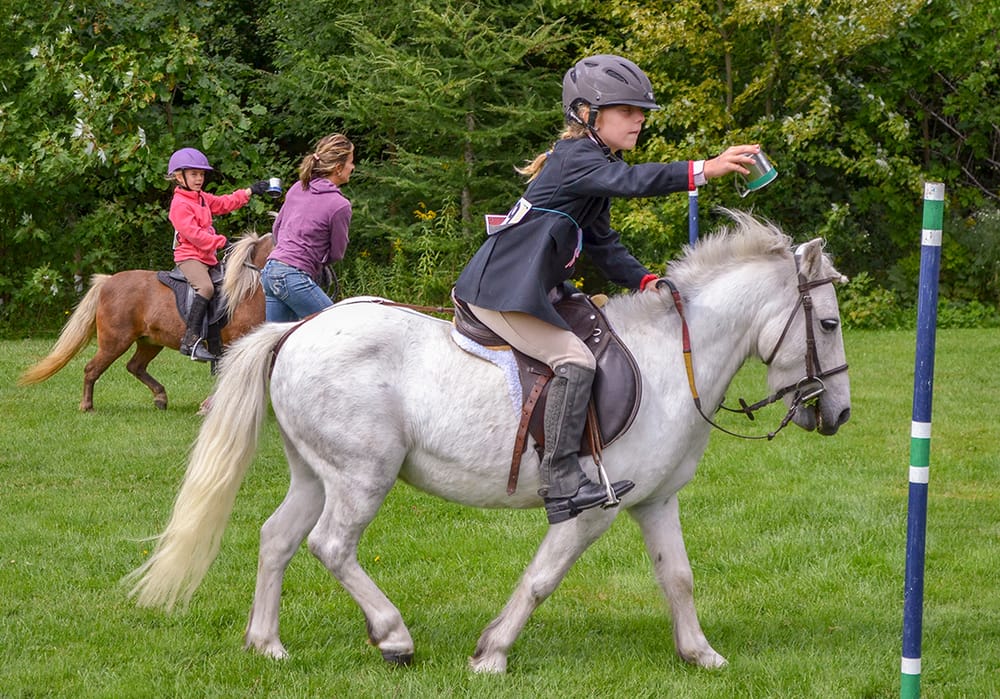 Aberfoyle fair celebrates Puslinch Roots and Rubber Boots post image