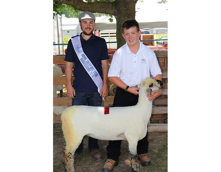 Colby Young awarded Junior Showmanship at Drayton Fair post image