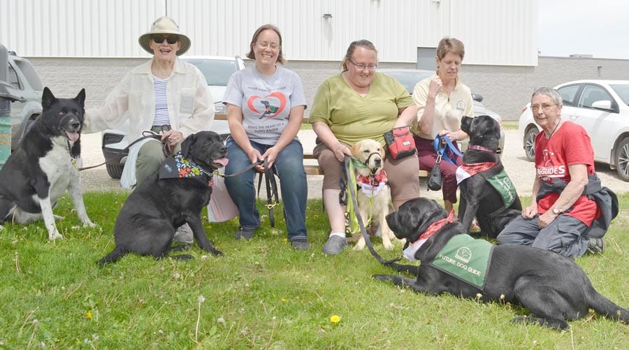 Local dog guide walk amongst top 10 in Canada for donations raised post image