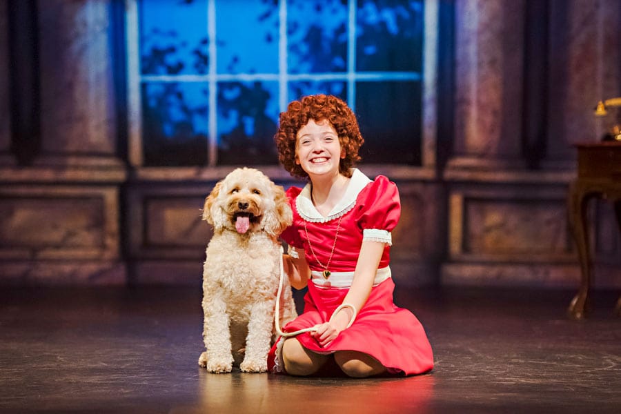 World’s favourite family musical on stage  this fall at Hamilton Family Theatre, Cambridge post image