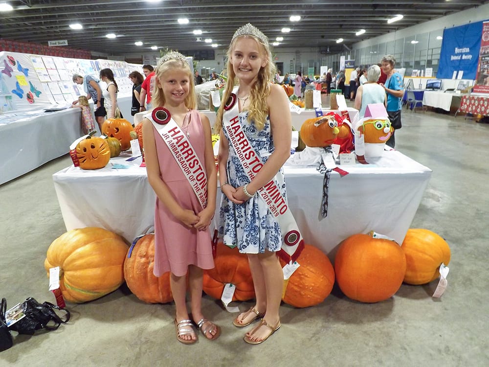 Celebrate family ties and homemade pies at Harriston-Minto Fair post image