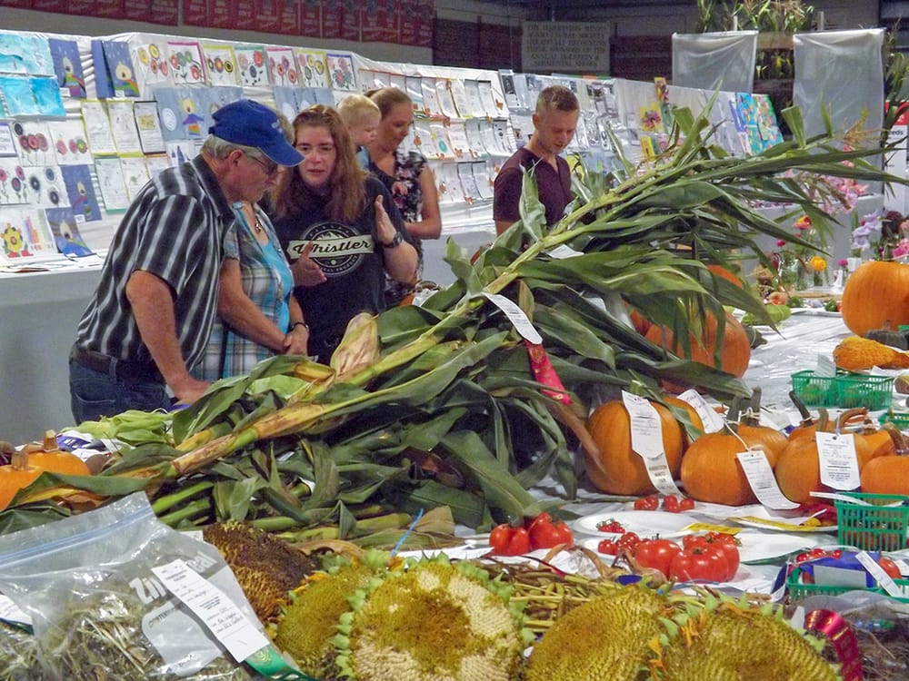Harriston-Minto fair features reunion pizza party on Sept. 13 post image