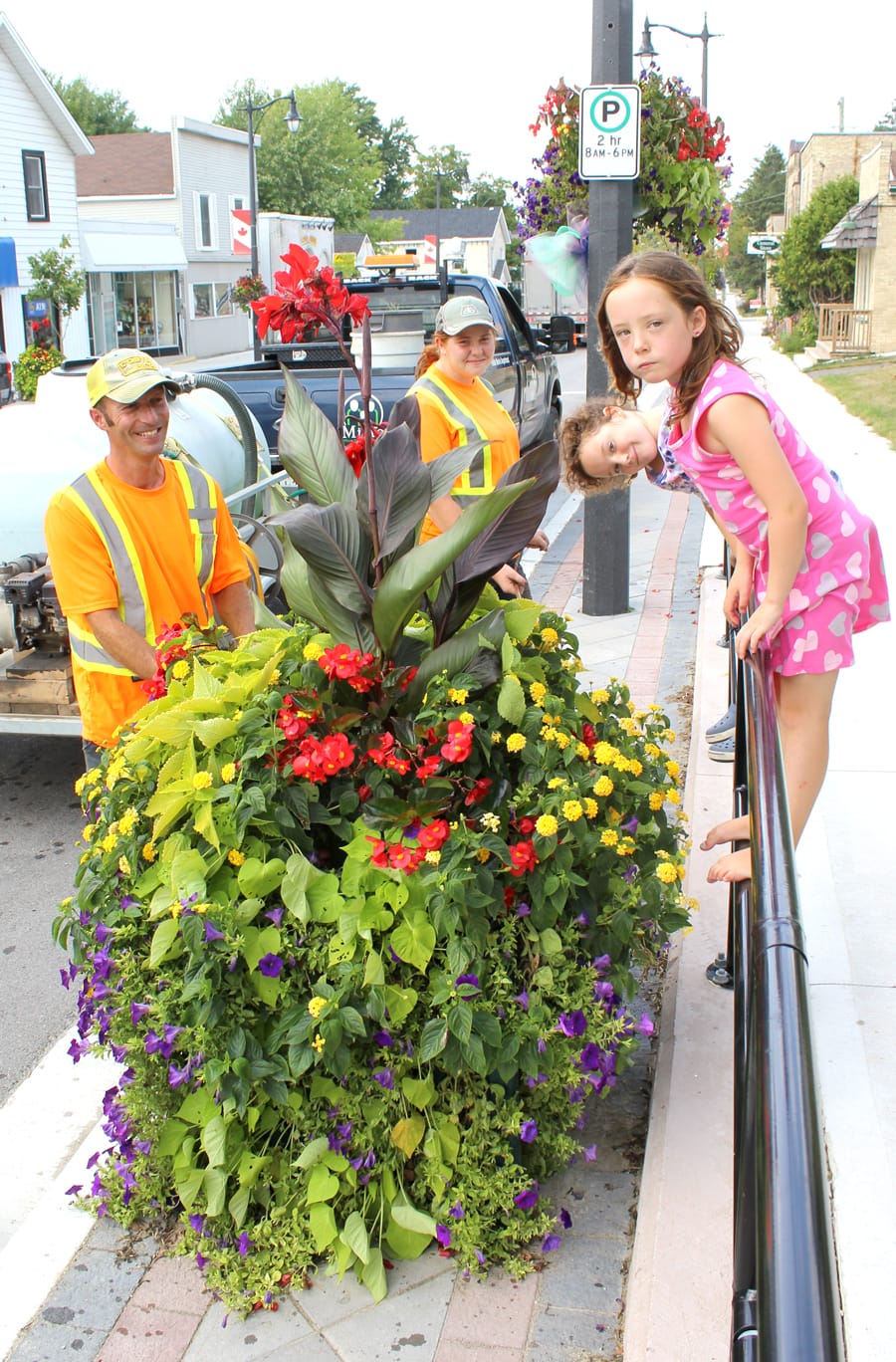 Blooming in Minto post image