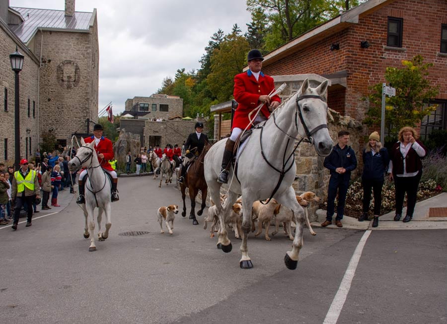 Annual Horse and Hound Parade took over downtown Elora post image