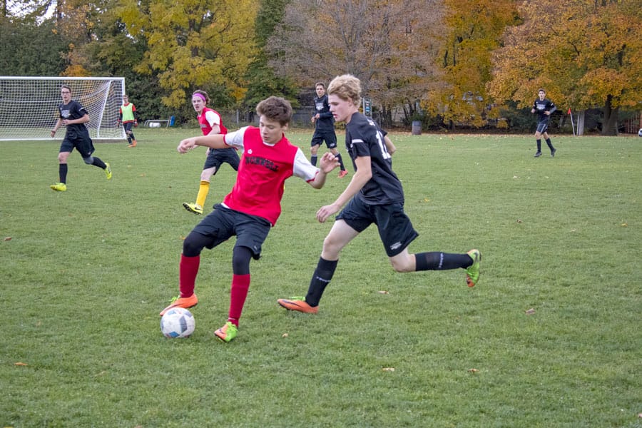 Emmanuel Christian High School wins District 4 soccer finals post image