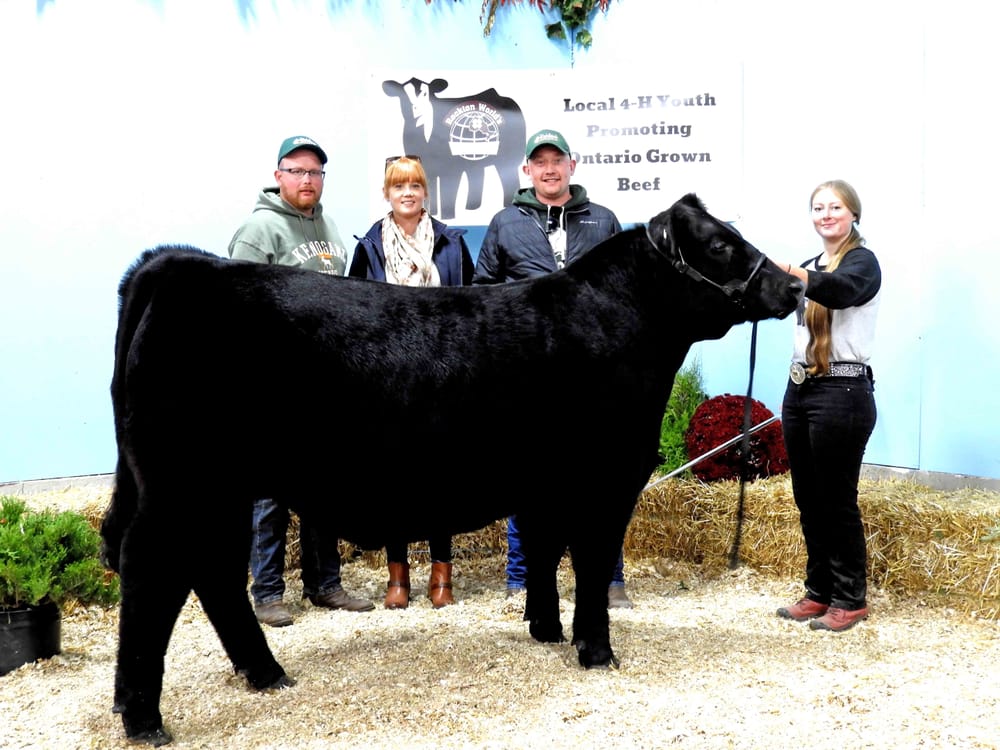 Kate Thring participates in Rockton World's Fair 4-H Finale Show and Sale post image