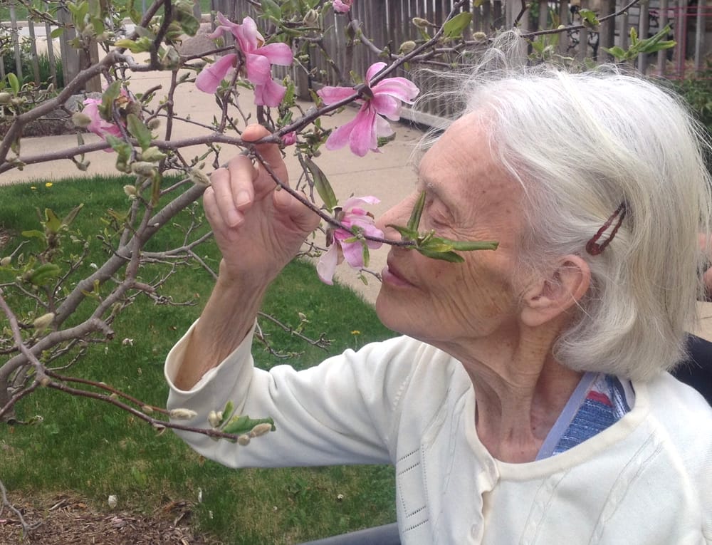 KINGSCOTE-GODKIN, Barbara, DVM., MSc., DPhil. post image