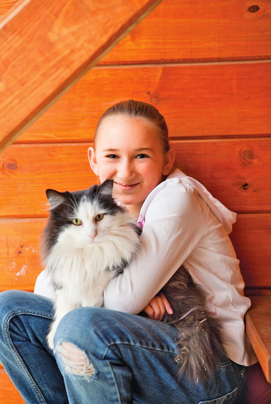 Six tips to keep pets safe during storm season post image