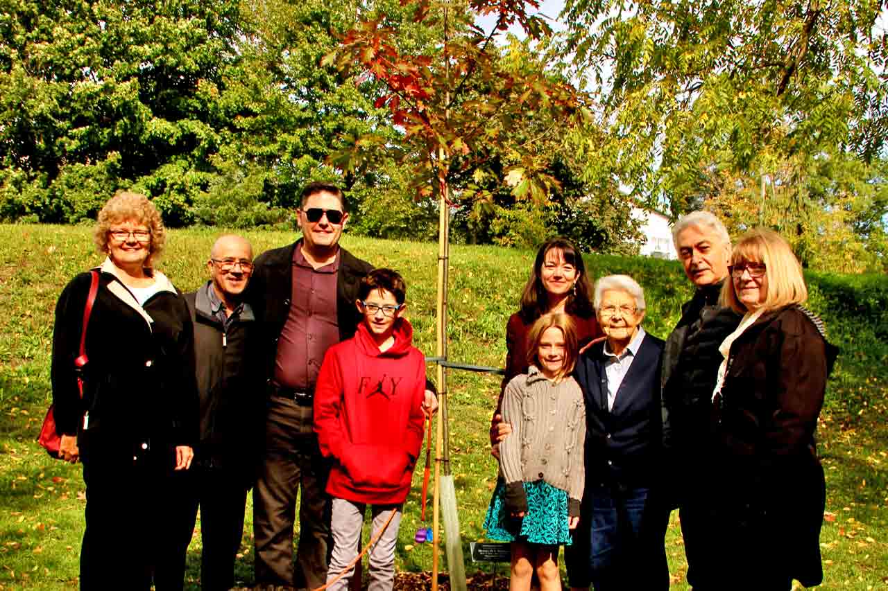 Celebration Trees planted again this fall post image