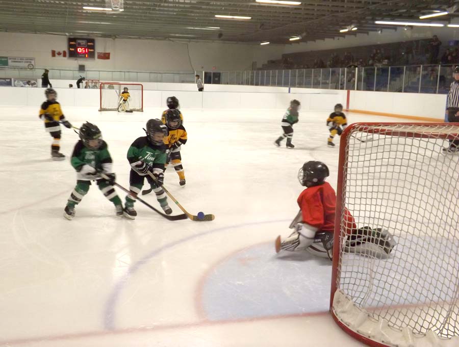 Arthur Minor Hockey Day was held on Jan. 4 post image