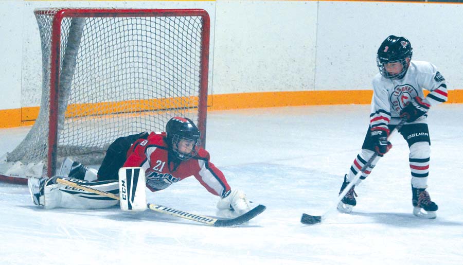 Minto Novice faces off against Listowel post image