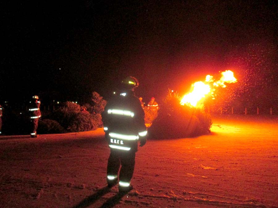 First Christmas Tree Bonfire well attended post image