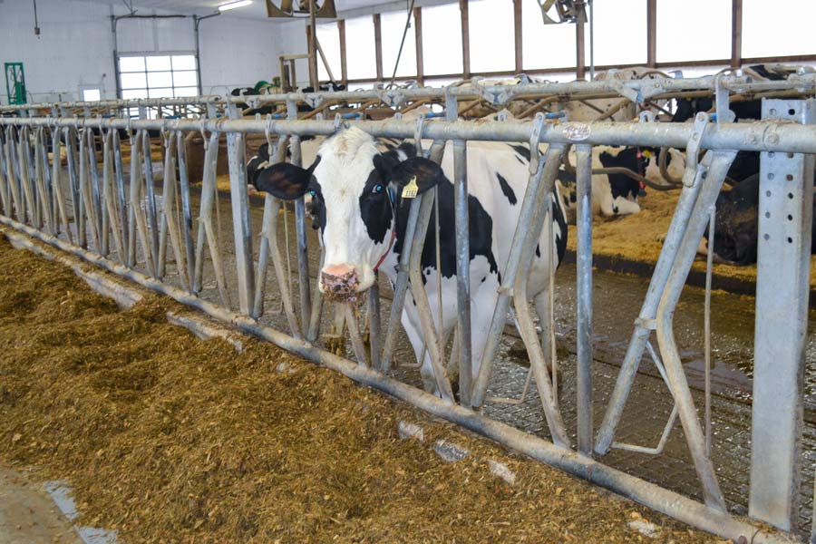 Farmers, animal rights groups clash on Bill 156 post image