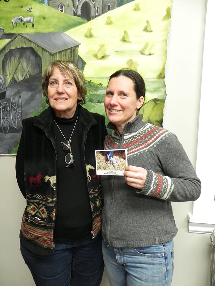 Katie Normet speaks at Arthur Historical Society post image