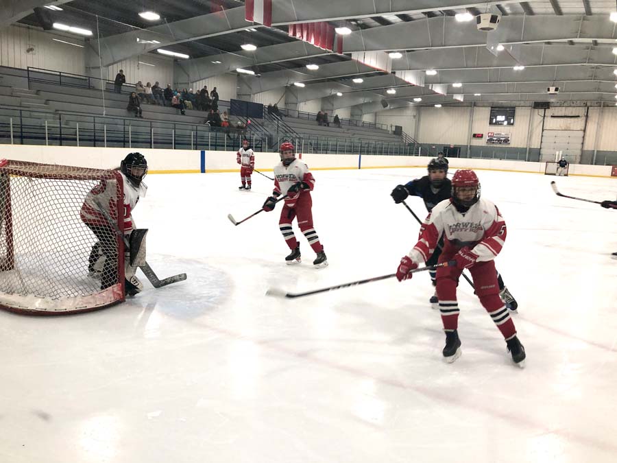 Norwell's Varsity Reds girls hockey take top spot in District 4 regular season post image