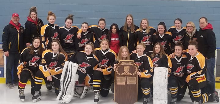CWDHS girls hockey team back-to-back D10 champions post image