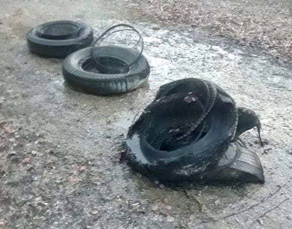 Police seek information about suspicious fires near White's Road Junction Trail post image