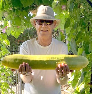 This is the year to give gardening a try post image