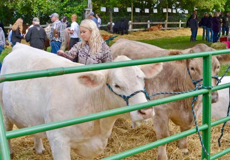 Fergus Fall Fair cancelled due to COVID-19 pandemic post image