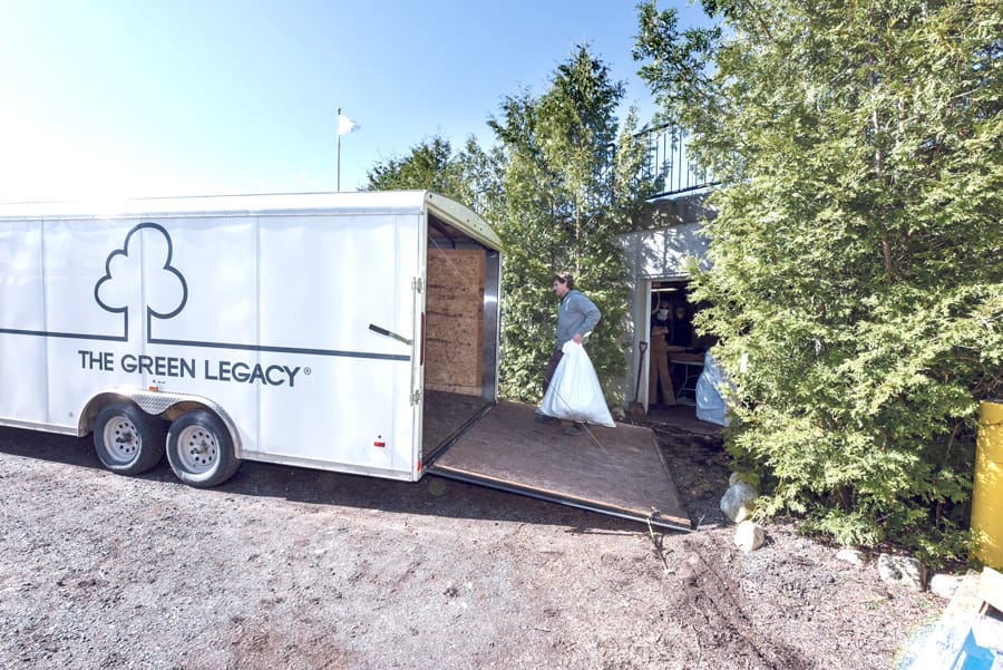 Green Legacy delivers results despite pandemic restrictions post image