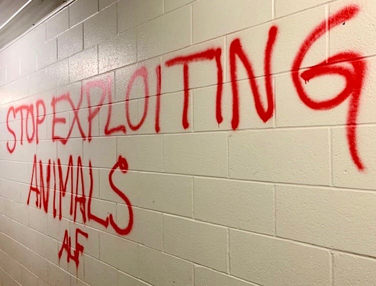 Police look to identify person(s) responsible for vandalizing U of G facility post image