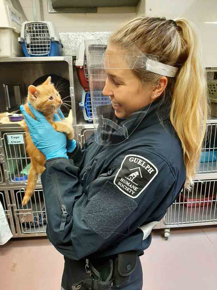 Guelph Humane Society prepares for increase in feral kittens this spring post image