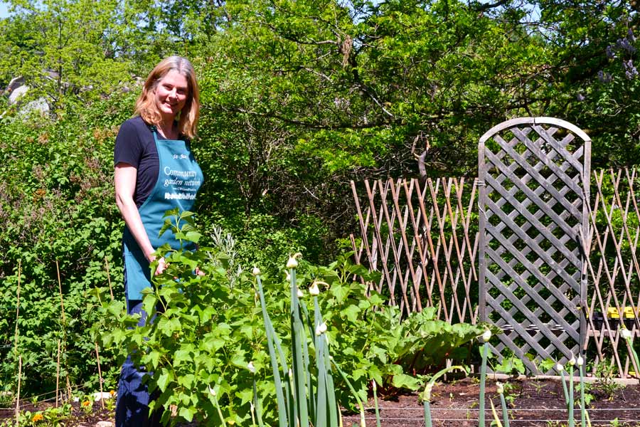 Community gardens extra-important during pandemic post image