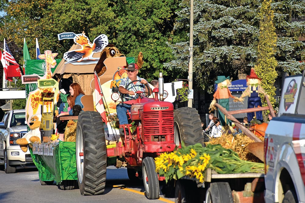 Palmerston Fair cancelled post image