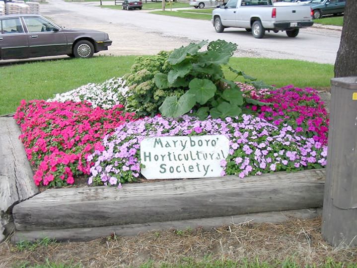 Mapleton Buds and Blooms to hold annual plant sale June 6 post image