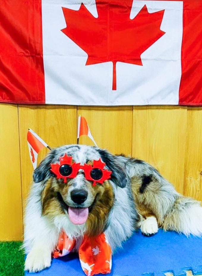 A doggone good time for Canada Day in Orton post image